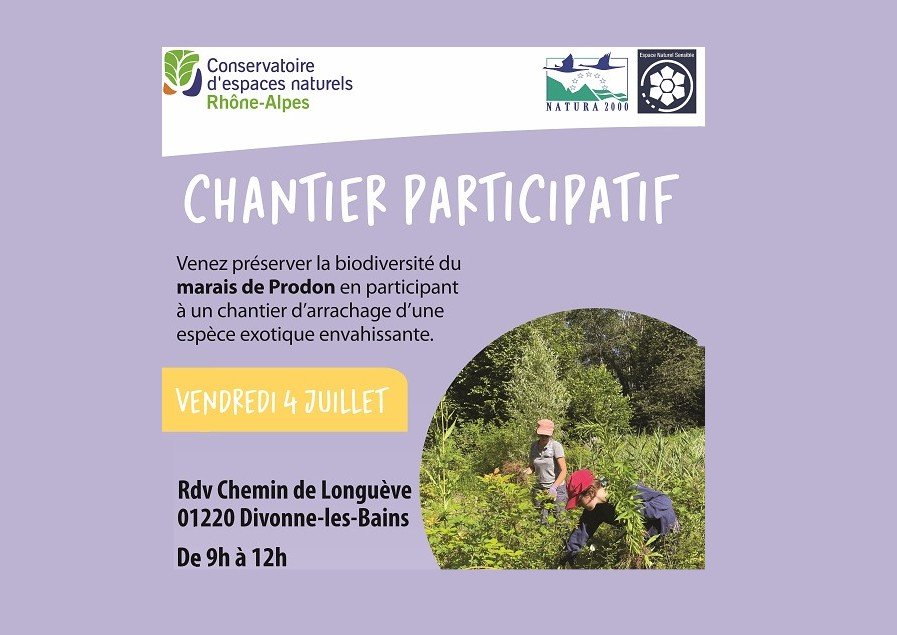 Chantier participatif au marais de Prodon